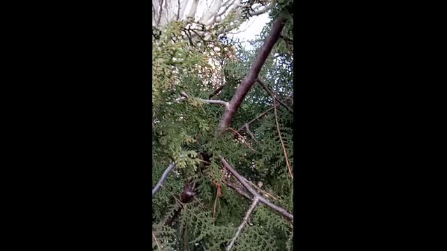 Видео порнуха #50286