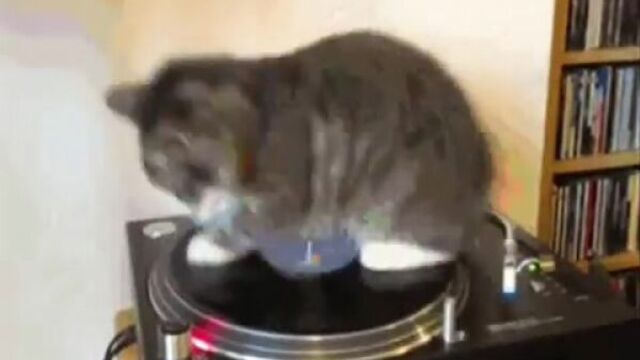 Видео порнуха #13434