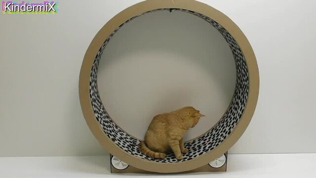 Видео порнуха #42683