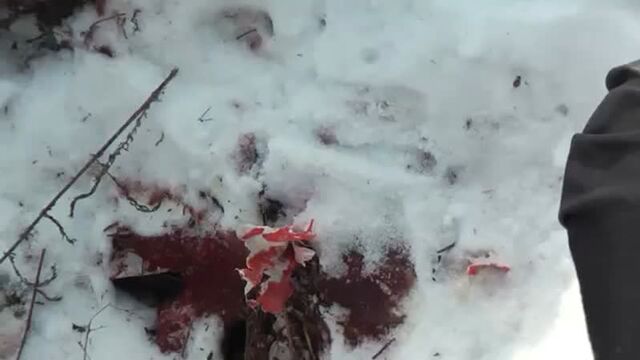 Видео порнуха #39090