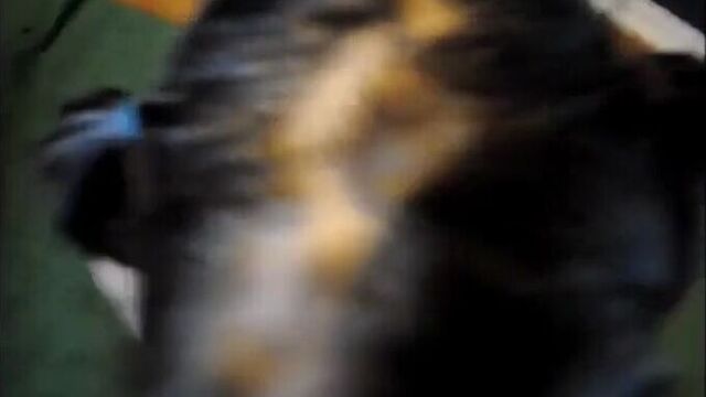 Видео порнуха #220900