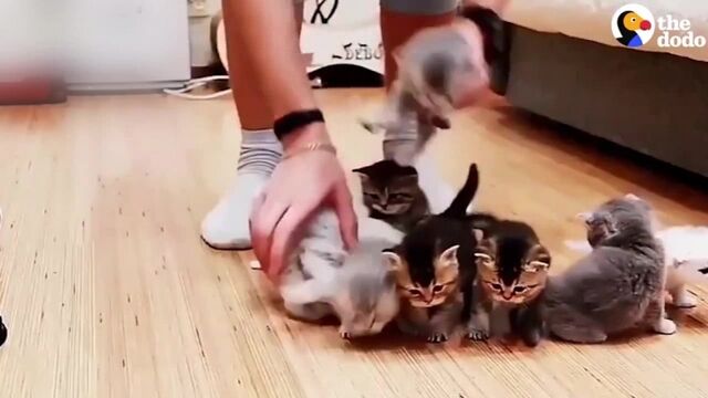 Видео порнуха #155816