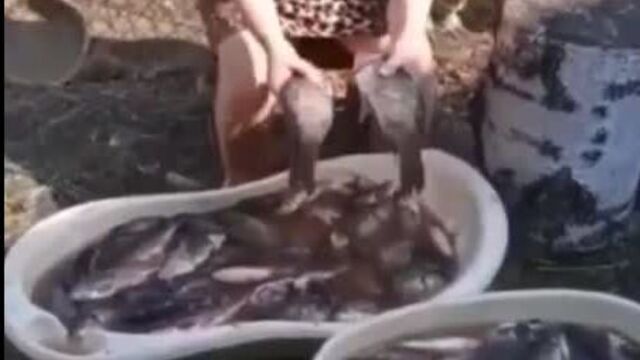 Видео порнуха #63251