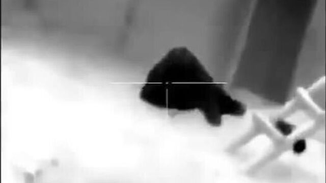 Видео порнуха #69685