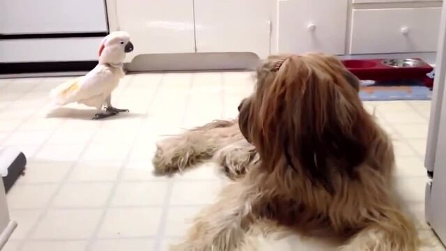 Видео порнуха #183352