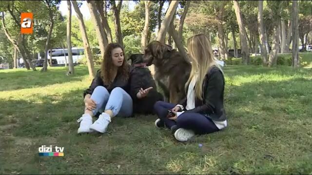 Видео порнуха #156034