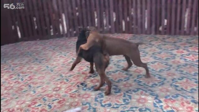 Видео порнуха #167898