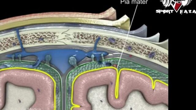 Видео порнуха #29490