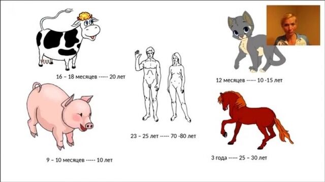 Видео порнуха #28536