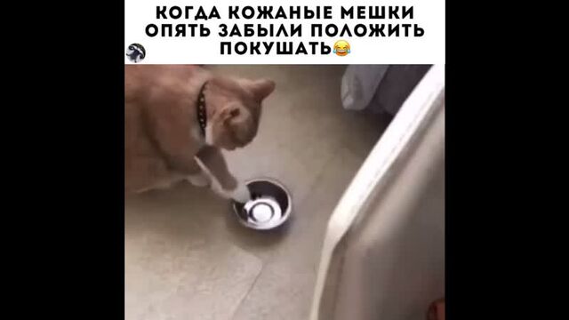 Видео порнуха #71035