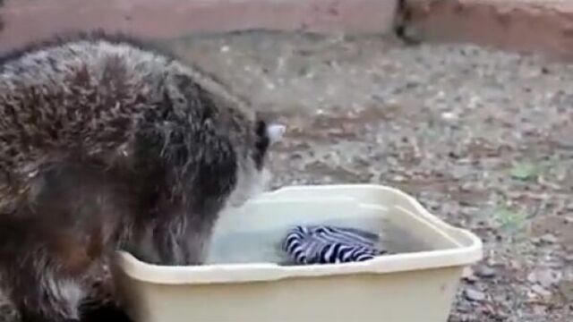 Видео порнуха #21684