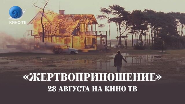 Видео порнуха #143501