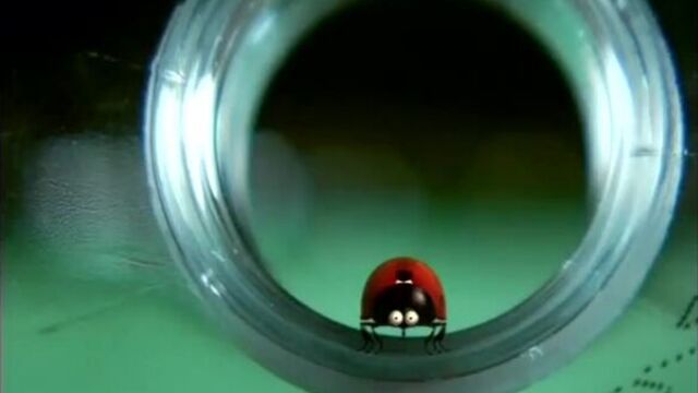 Видео порнуха #10623