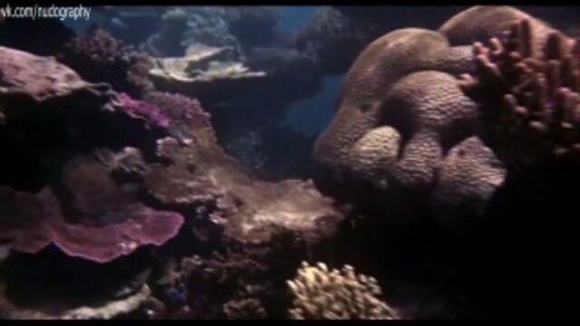 Видео порнуха #159317