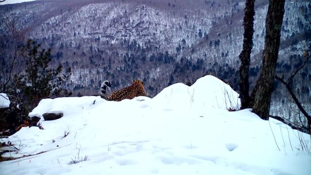 Видео порнуха #118527