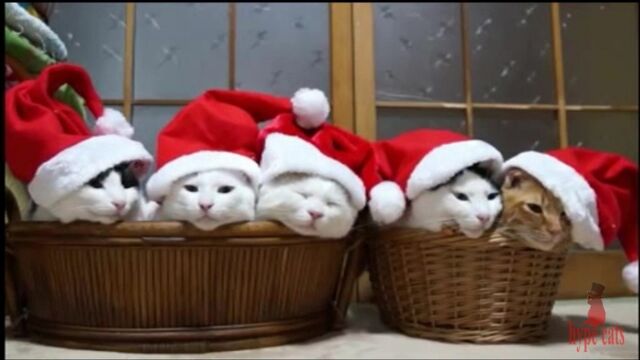 Видео порнуха #156881