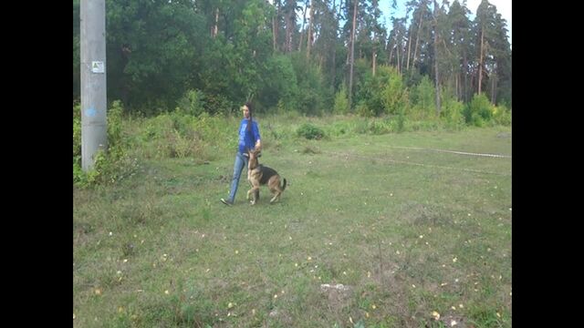 Видео порнуха #123037