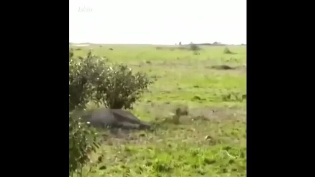 Видео порнуха #129382