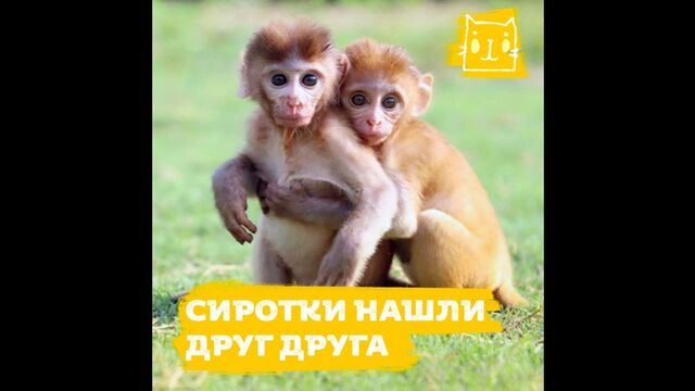 Видео порнуха #188213