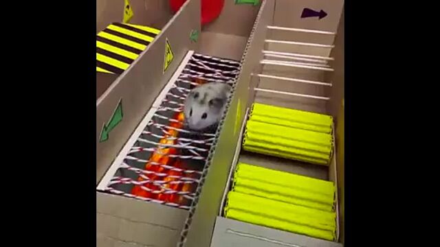 Видео порнуха #146089