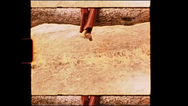 Видео порнуха #84446