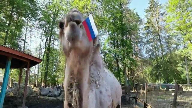 Видео порнуха #139220