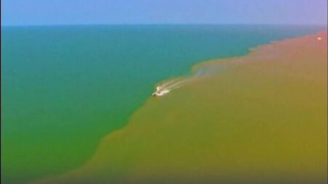 Видео порнуха #36148