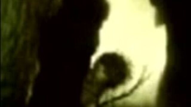 Видео порнуха #11