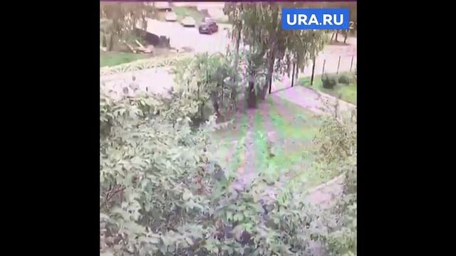 Видео порнуха #165819