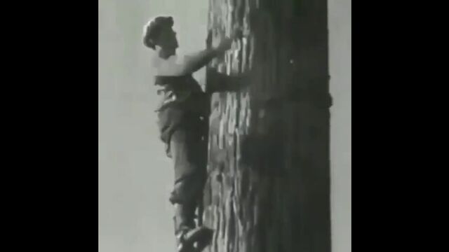 Видео порнуха #125654