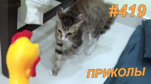 Видео порнуха #172804