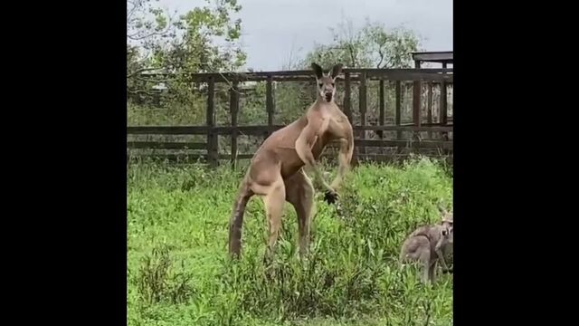 Видео порнуха #172796