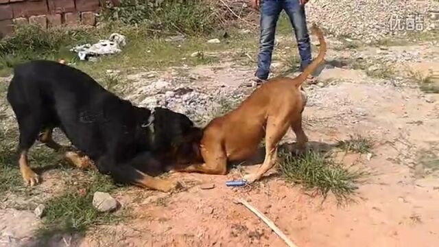 Видео порнуха #162797