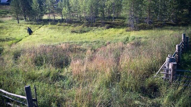 Видео порнуха #11798