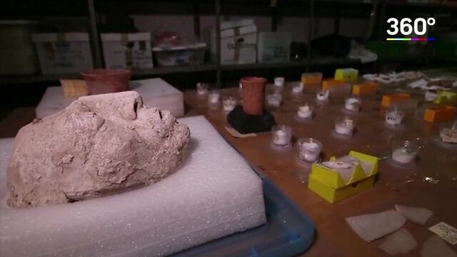 Видео порнуха #170891