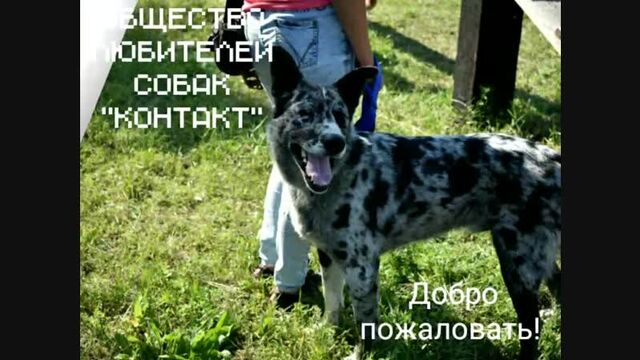 Видео порнуха #40626