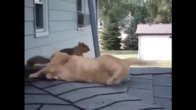 Видео порнуха #179108