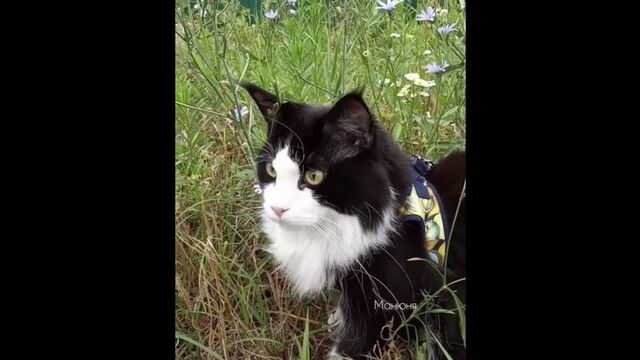 Видео порнуха #117383