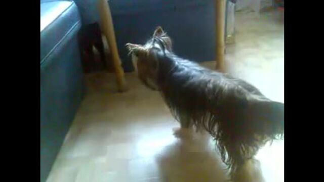 Видео порнуха #180