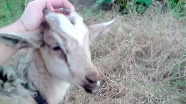 Видео порнуха #20858