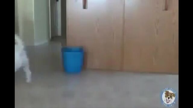 Видео порнуха #142225