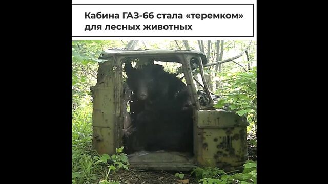 Видео порнуха #120604