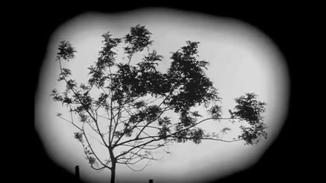 Видео порнуха #159047