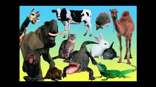 Видео порнуха #1122