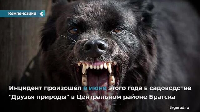 Видео порнуха #191715