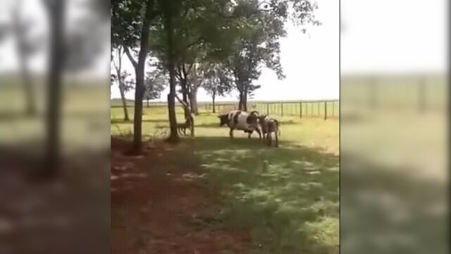 Видео порнуха #42116