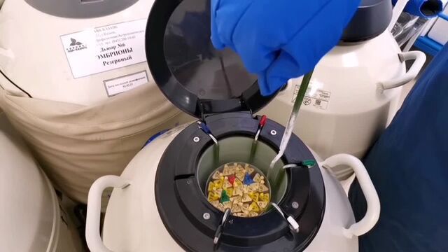 Видео порнуха #81461