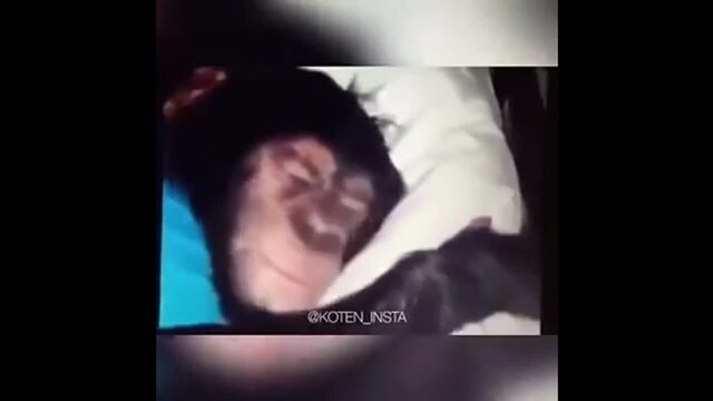 Видео порнуха #179951