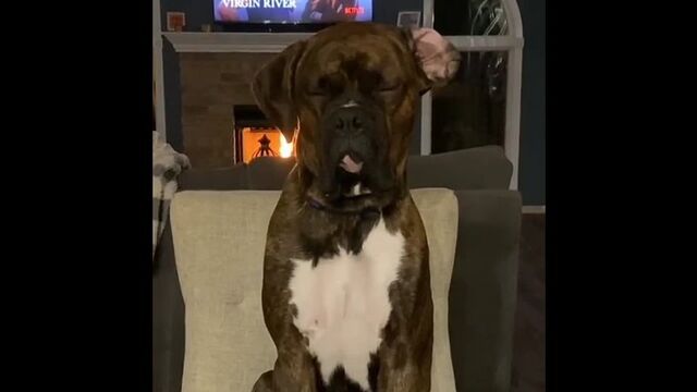 Видео порнуха #187830