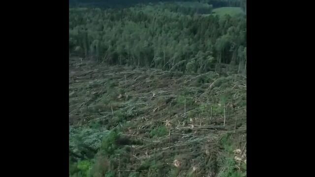 Видео порнуха #104102